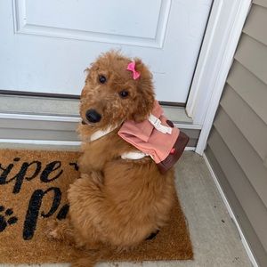 Meet your Posher, Rylee